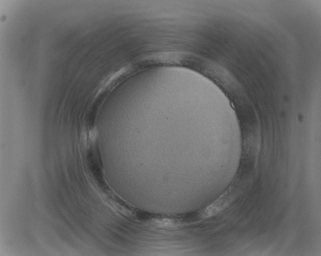 X0000084020120200703022107