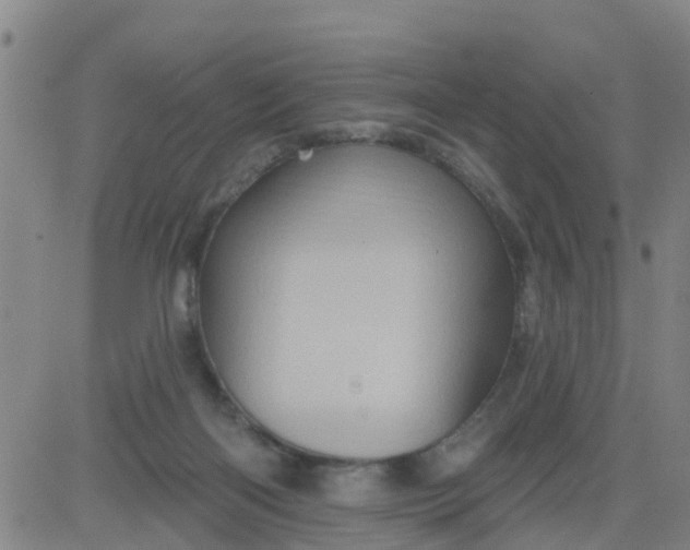 X0000084020122200703022107