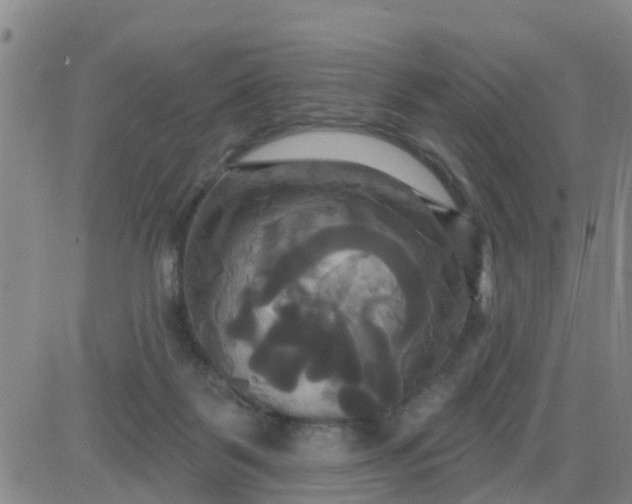 X0000084020123200703022107