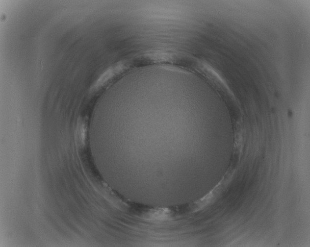 X0000084020124200703022107