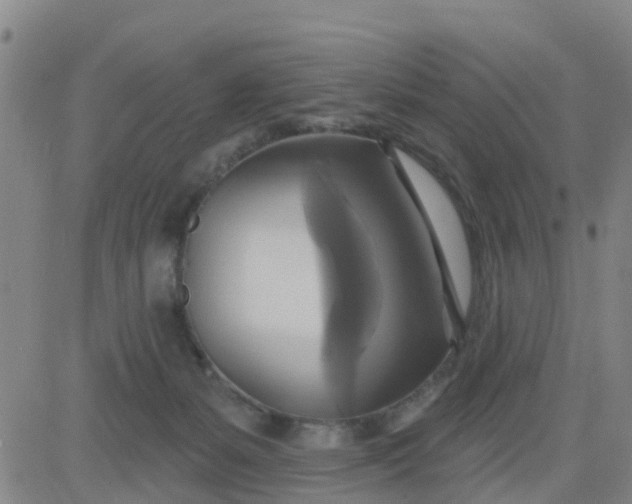 X0000084020127200703022107