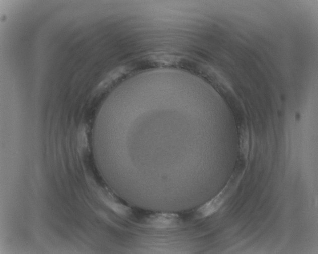 X0000084020128200703022107