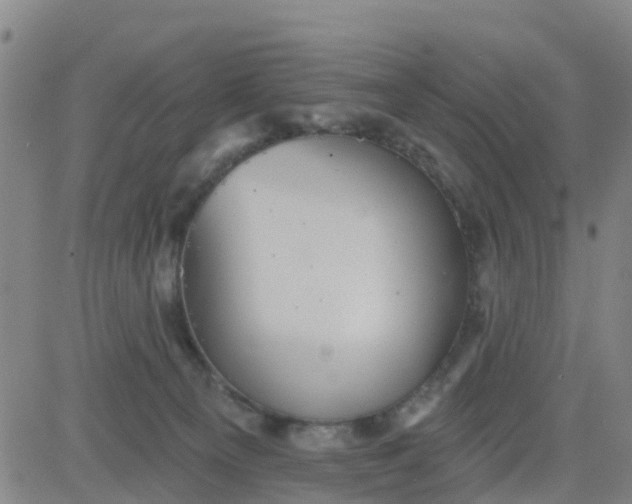 X0000084020129200703022107