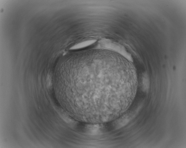 X0000084020131200703022107