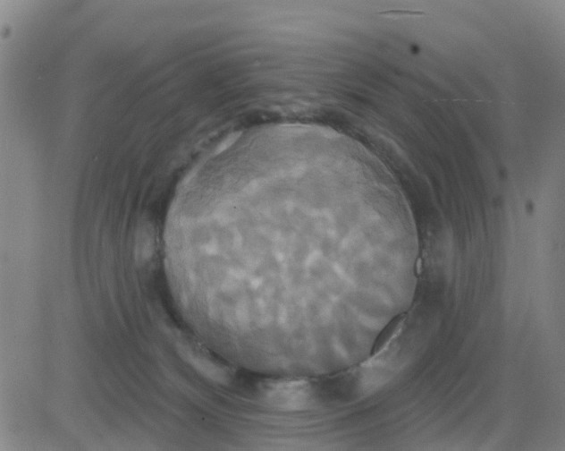 X0000084020132200703022107