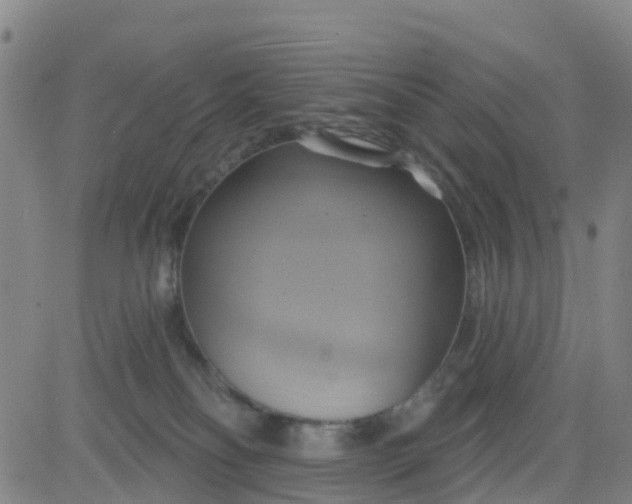 X0000084020134200703022106