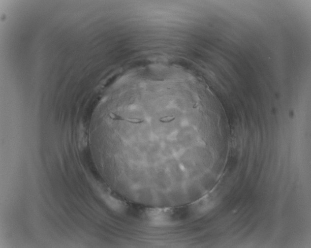 X0000084020136200703022106