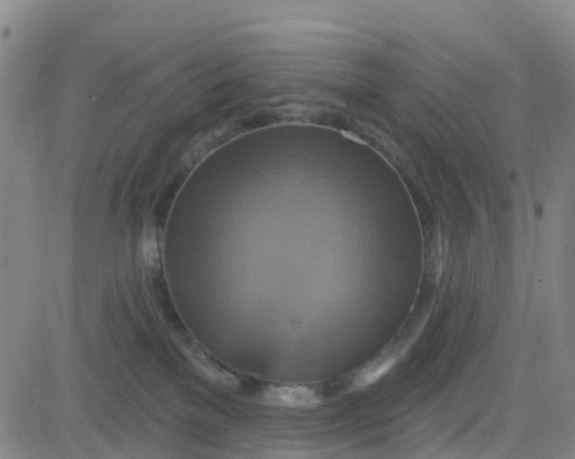 X0000084020137200703022106