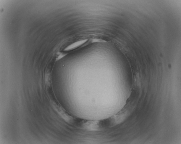 X0000084020138200703022106