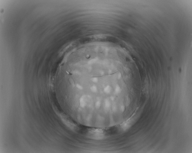 X0000084020140200703022106