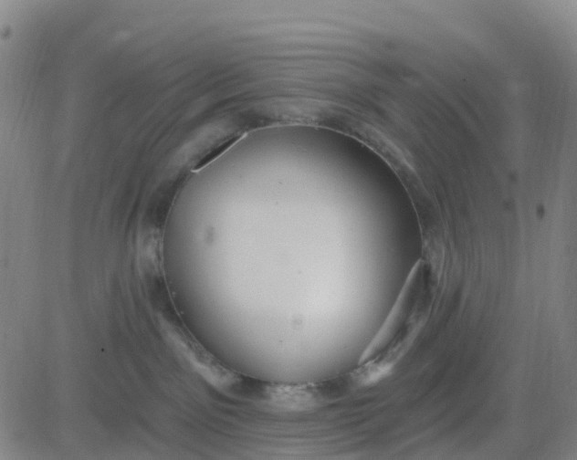 X0000084020141200703022106