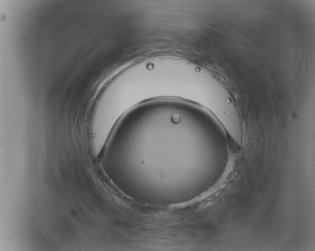 X0000084020146200703022106