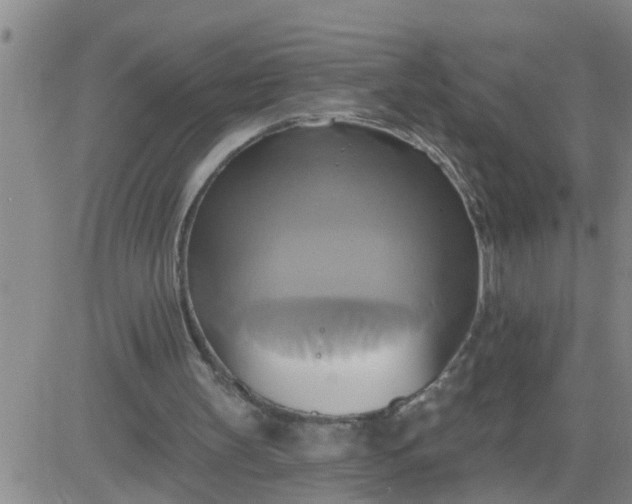 X0000084020147200703022106