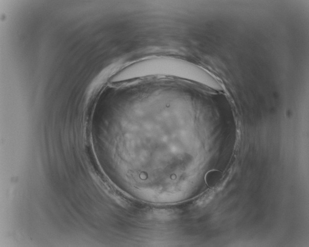 X0000084020149200703022106