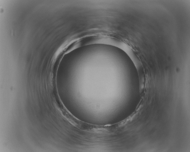 X0000084020150200703022106