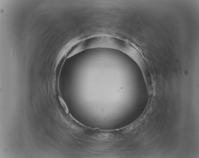 X0000084020152200703022106