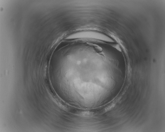 X0000084020153200703022106