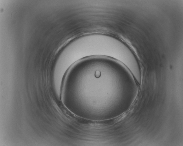 X0000084020154200703022106