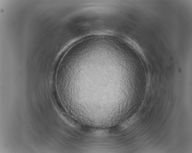 X0000084020155200703022106