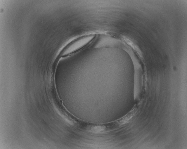 X0000084020156200703022106