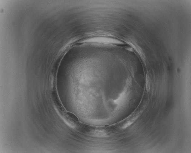 X0000084020157200703022106