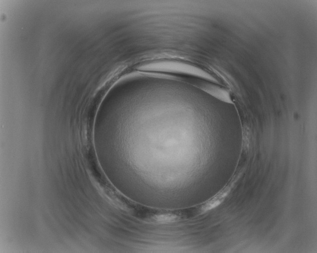 X0000084020158200703022106