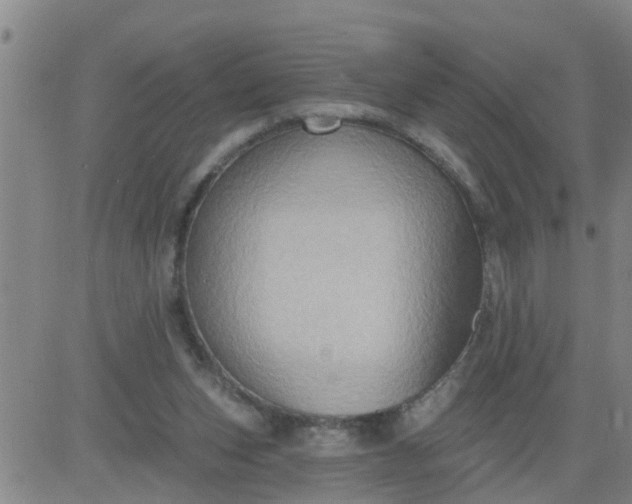 X0000084020159200703022106