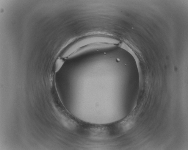 X0000084020160200703022106