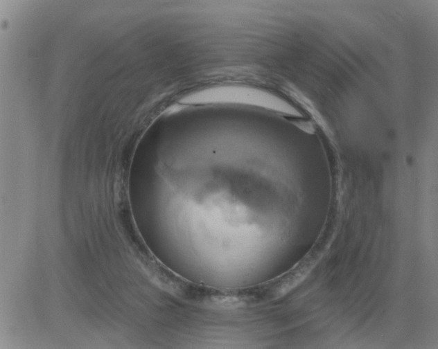 X0000084020161200703022106