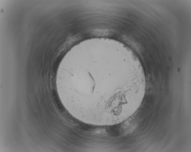 X0000084020162200703022106