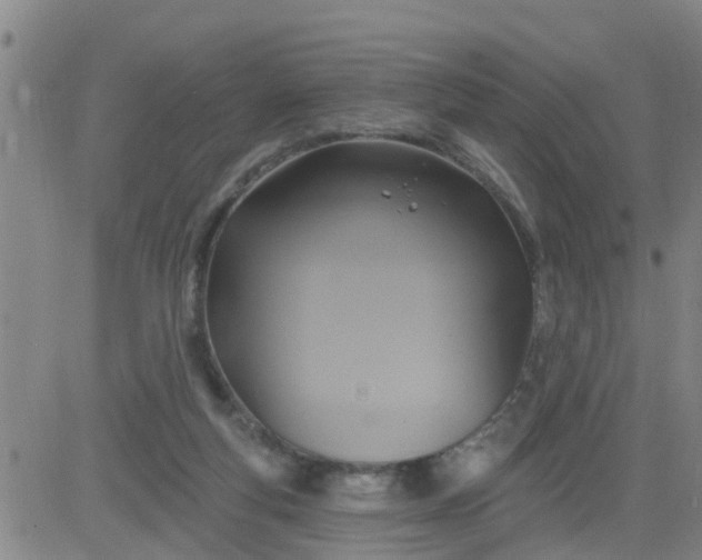 X0000084020163200703022106