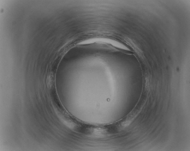 X0000084020165200703022106