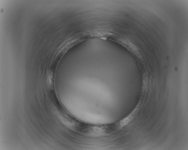 X0000084020166200703022106