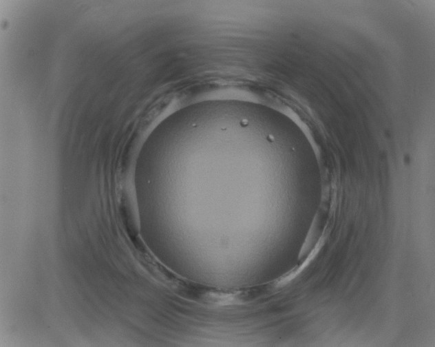 X0000084020170200703022106