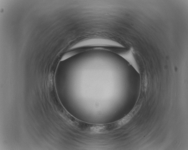 X0000084020172200703022106