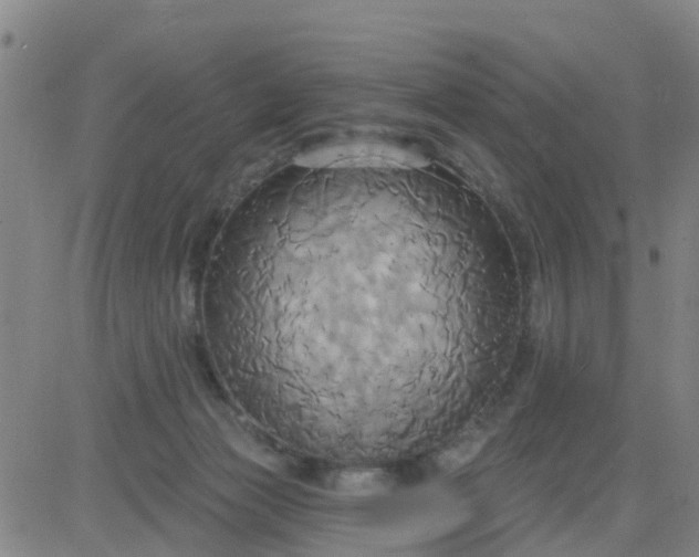 X0000084020173200703022106