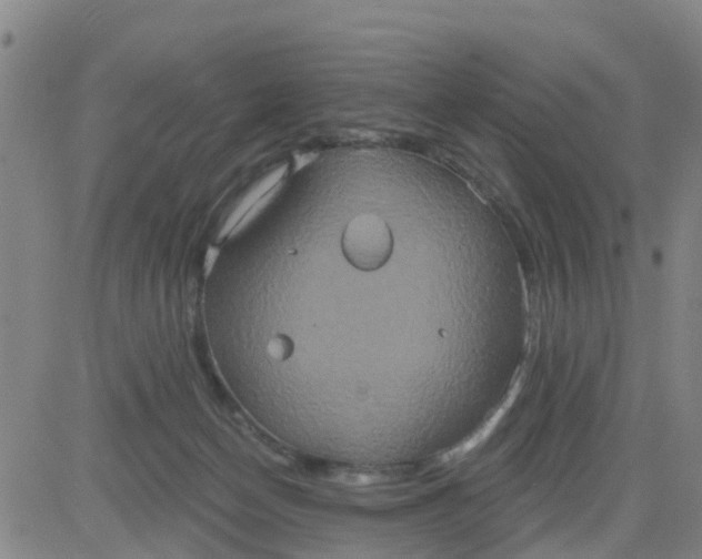 X0000084020174200703022106