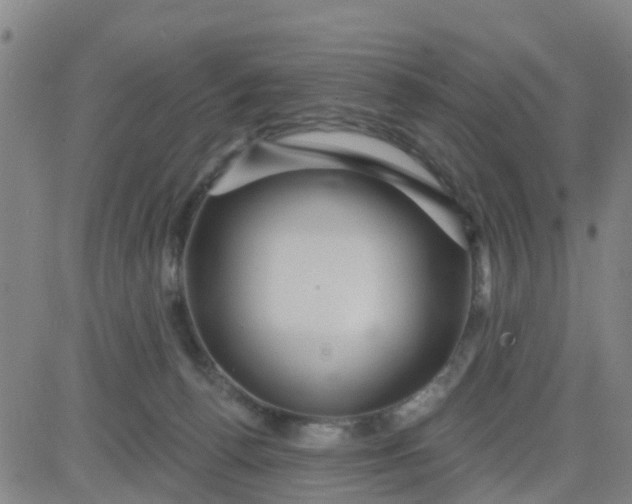 X0000084020176200703022106