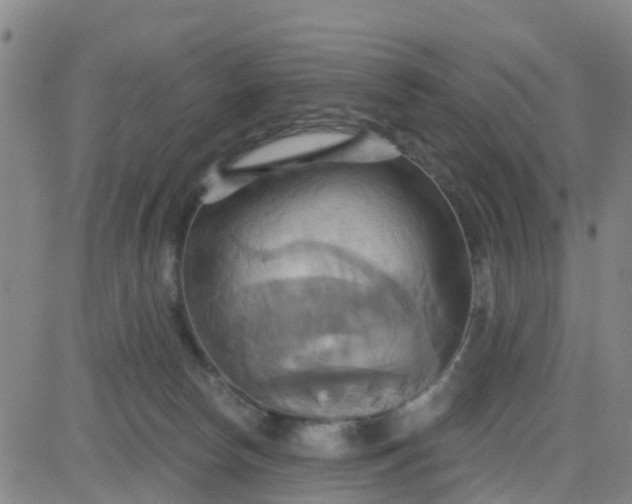 X0000084020178200703022106