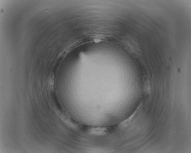 X0000084020179200703022106