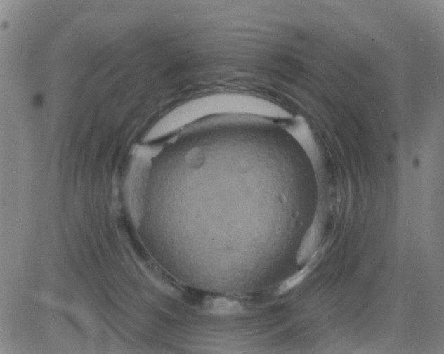 X0000084020180200703022106