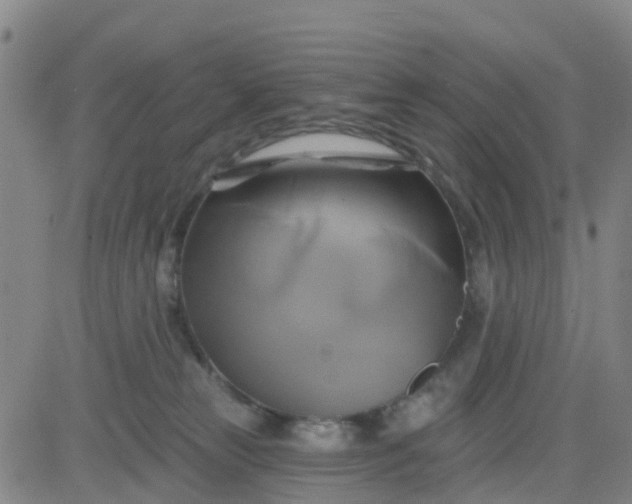 X0000084020181200703022106