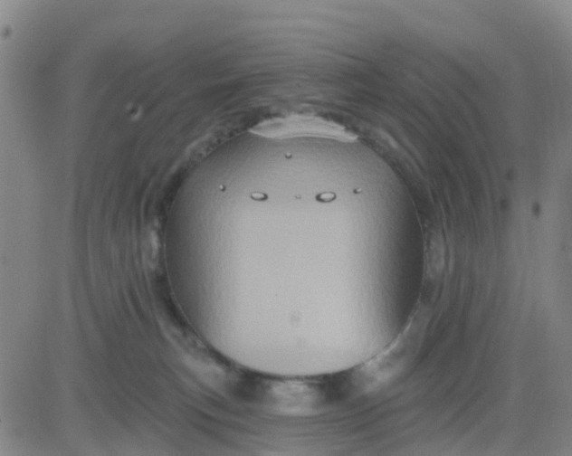 X0000084020183200703022106