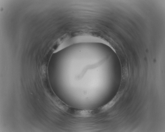 X0000084020184200703022106