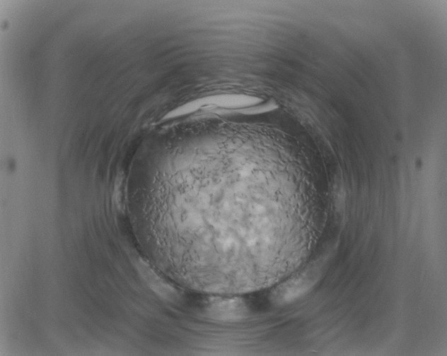 X0000084020185200703022106