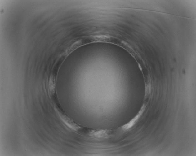 X0000084020186200703022106