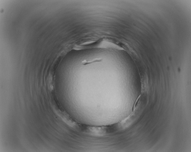 X0000084020187200703022106