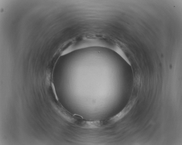 X0000084020188200703022106