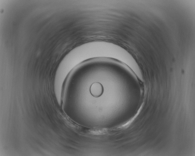 X0000084020190200703022106