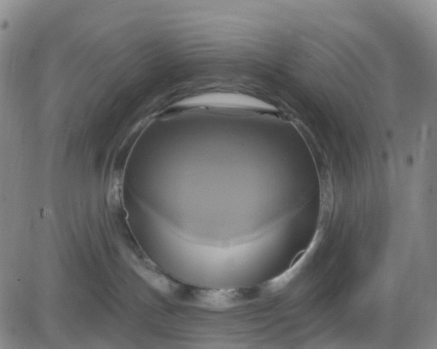 X0000084020191200703022106